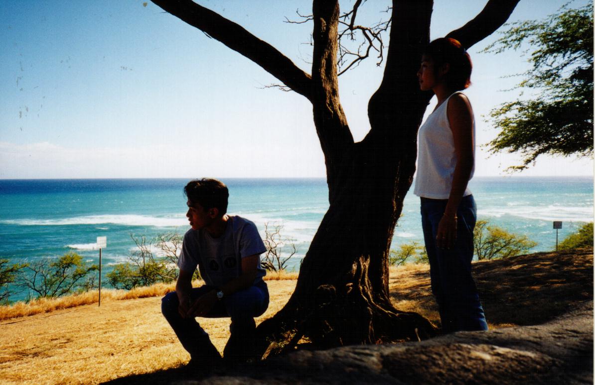 vin.jpg (129389 bytes)